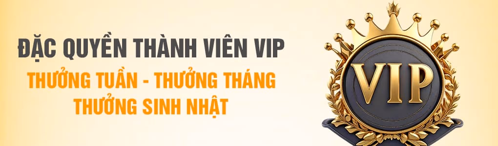 Kỹ Năng Poker Omaha Cơ Bản – Luật Chơi Và Chiến Thuật Tại MM98